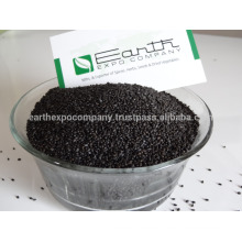 Best Quality Basil Seeds